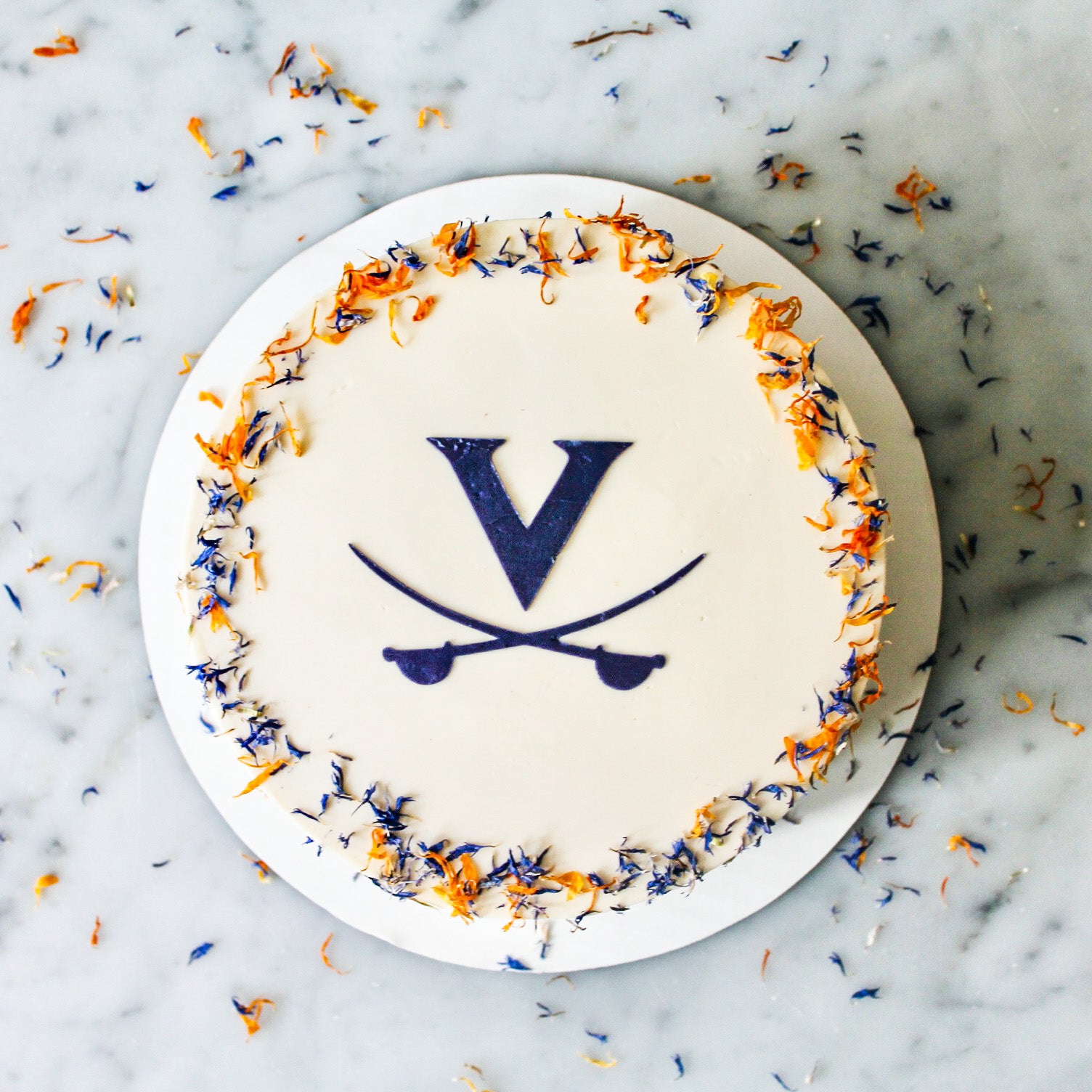 UVA Collection Cake Bloom