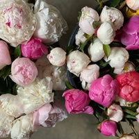 Local Peony Bouquets