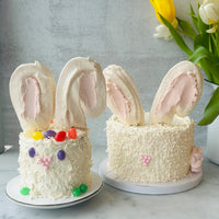 Honey Bunny Cake Decorating Kit