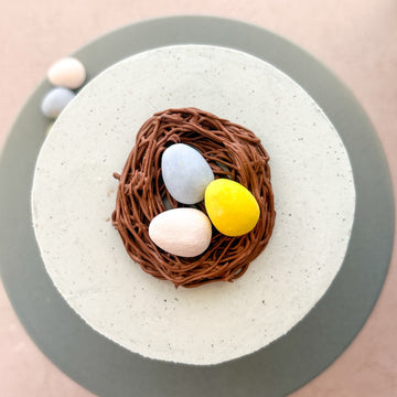 Robin's Egg Blue - Chocolate Nest and Eggs