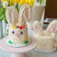 Honey Bunny Cake Decorating Kit