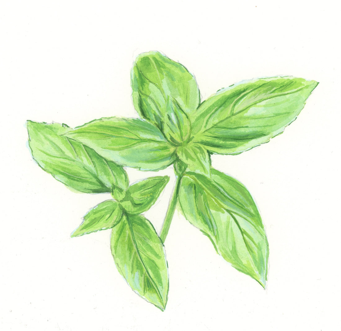 Intro to Gouache Painting