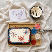 Fireworks Sprinkle Embroidery Kit