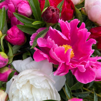 Local Peony Bouquets