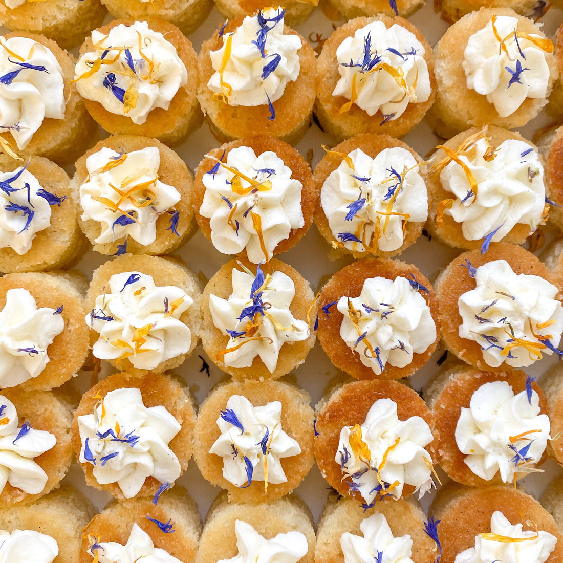 Bite-sized cake rounds decorated with blue and yellow edible flower sprinkles.