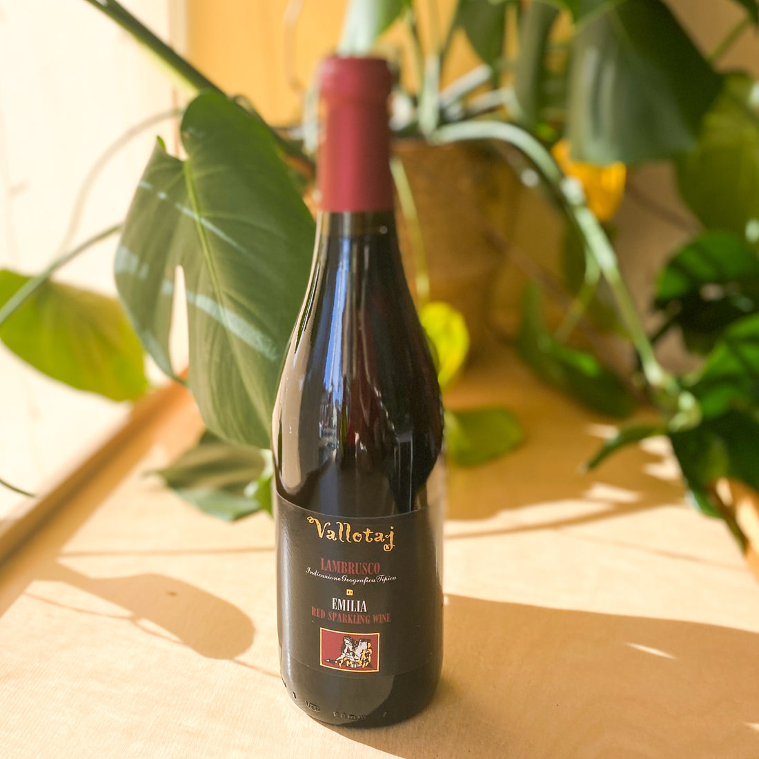 A bottle of Vallotaj Lambrusco sparkling red wine.
